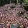2017 - 29.10.2017: Saarschleife-Trail